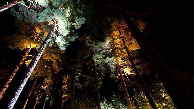 Outdoor Lighting Solutions