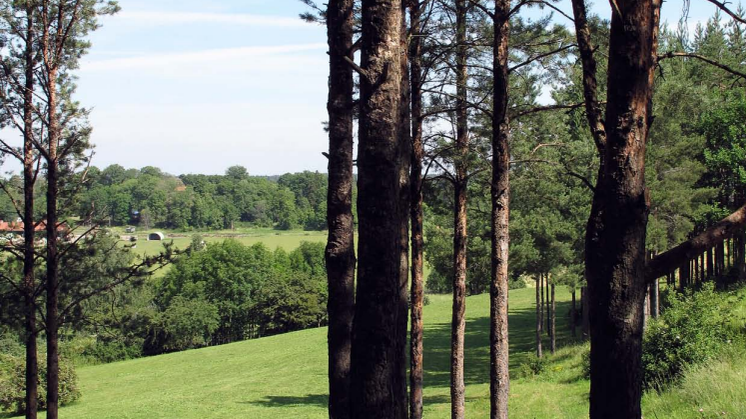 Järva begravningsplats - Tävlingsprogram 2009