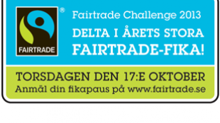 Fairtrade Challenge 2013