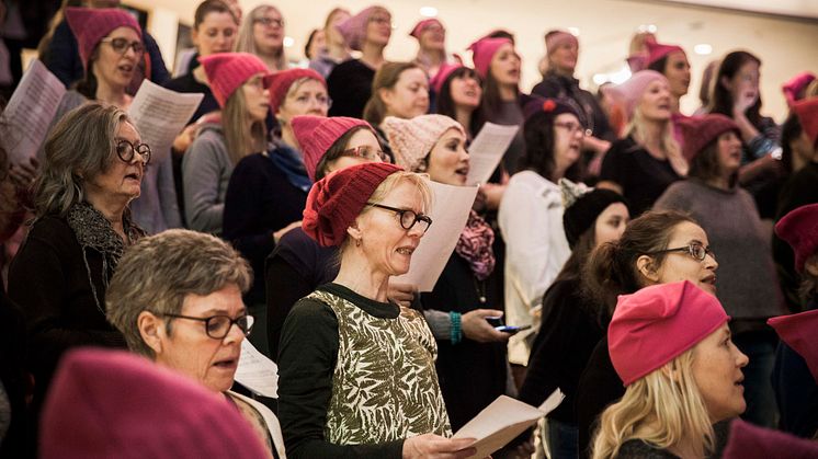 Pussyhats och #Metoo på Världskulturmuseet