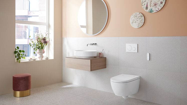 2024_Geberit AquaClean Alba_Urban_Remote control_Sigma20_VariForm_Option_light off_Original