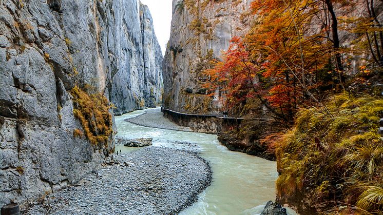 Aareschlucht.JPG