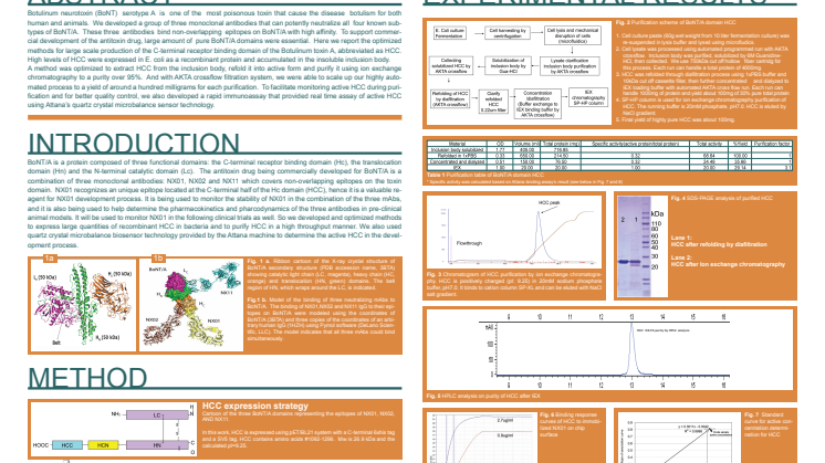 Large Scale Production of Botulium Neurotoxin Type A Binding Domain and Characterization by Quartz Crystal Microbalance Biosensor Technology