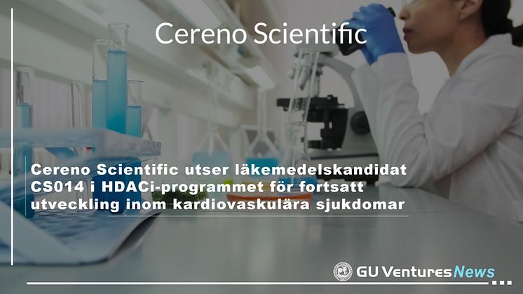 Cereno Scientific utser läkemedelskandidat CS014 i HDACi-programmet för fortsatt utveckling inom kardiovaskulära sjukdomar