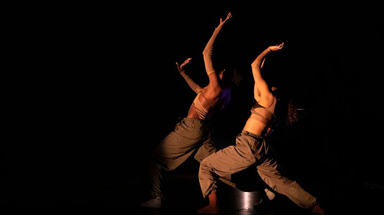 Company Nicolas Huchard - The barefoot diva