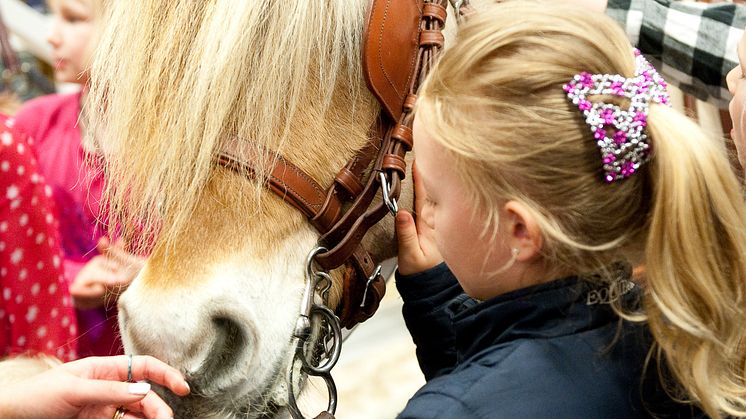 EuroHorse lockar hela familjen