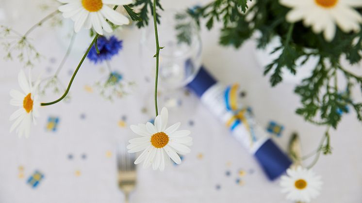 Margerit är en härlig sommarblomma.