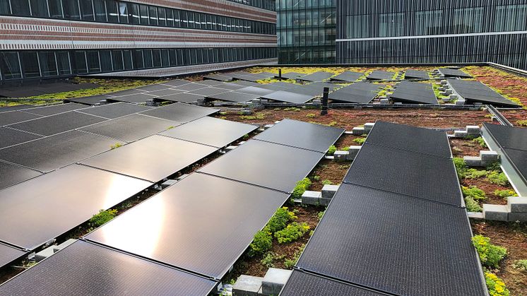 Solceller på Widerströmska huset, Campus Solna. 