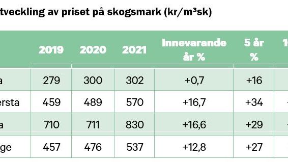 Real utveckling av priset på skogsmark i kr per skogskubikmeter.JPG