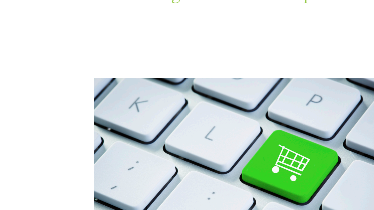 2011 eCommerce Assessment