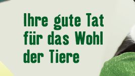 Freundschaft verbindet: Mit modischem Armband zum Botschafter für den Tierschutz werden
