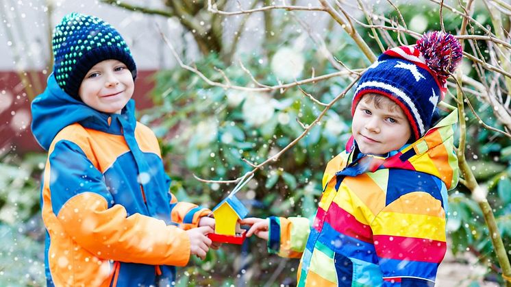 BirdLife Sverige har bjudit in landets skolor till en fågelräkningstävling.