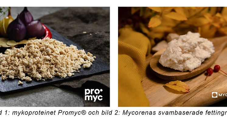 mycorena bilder.jpg