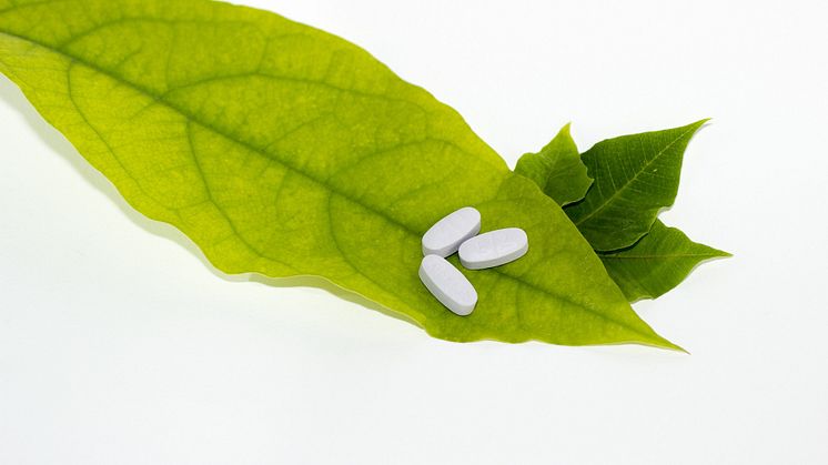 Naturen kan minska behovet av medicin mot astma och psykofarmaka. Bild: Pixabay CC0