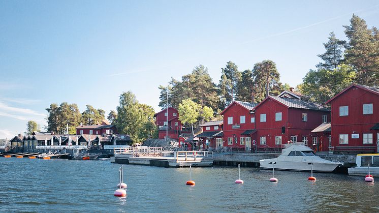 Fjaderholmarna_stockholm_delfin_x_Foto_amanda_jona