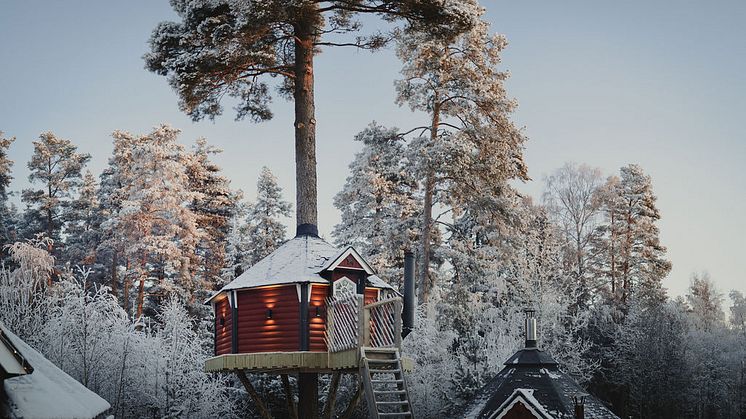 The Mangévie tree house