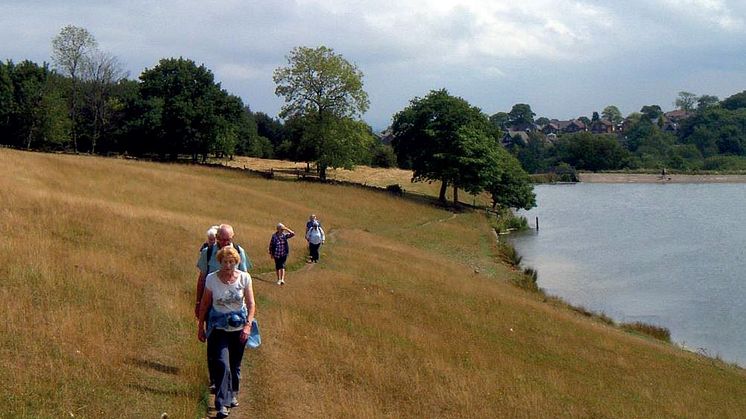 ​Can you walk the walk? We need volunteers!