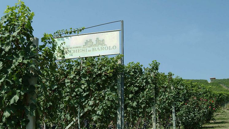 Winemakers Dinner på Rånäs Slott