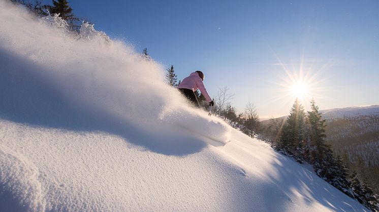 SkiStar är redo för en coronaanpassad vintersäsong: Öppnar samtliga destinationer innan jul