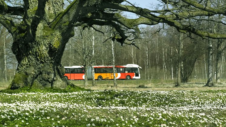 Foto: Region Östergötland