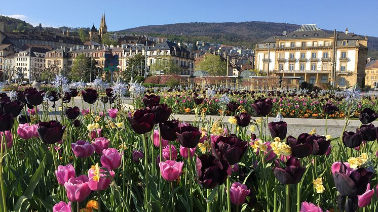 ST_Neuchâtel-Esplanade-du-Mont-Blanc_45104