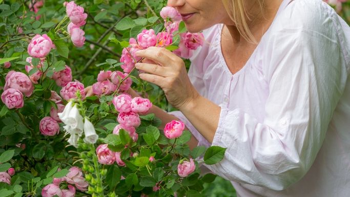 13_Woman_healthy roses_Neudorff.jpg