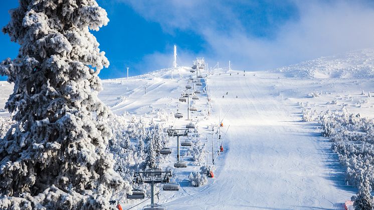 Snösäker skidåkning i januari