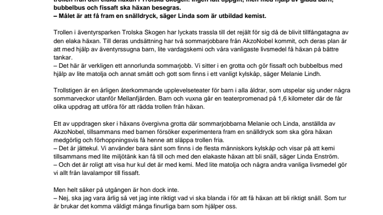 Ett magiskt sommarjobb