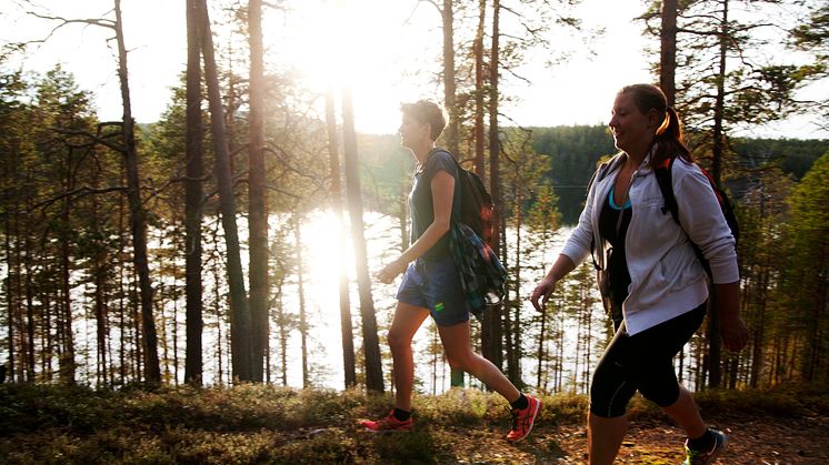 Bild från Isälvsleden mellan Vindeln och Åmsele, Västerbotten