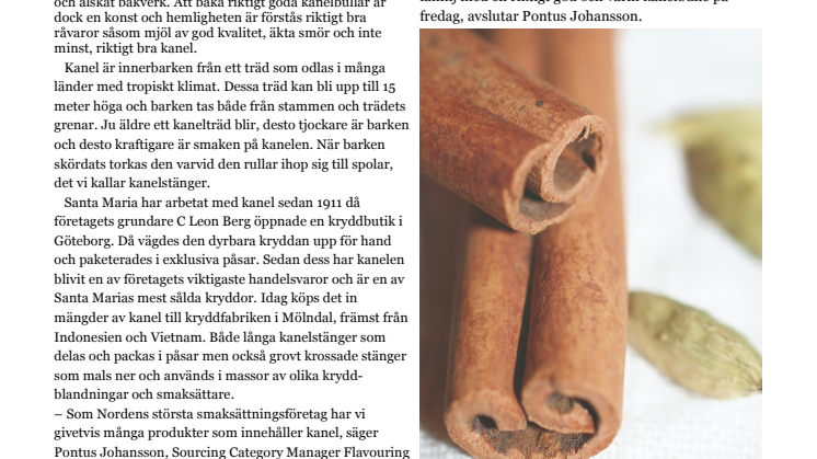 Santa Maria hyllar kanelbullens dag