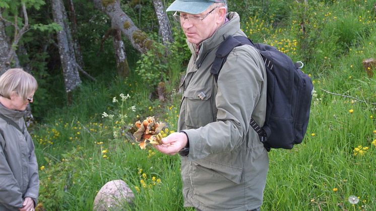 Ingvar Fredriksson
