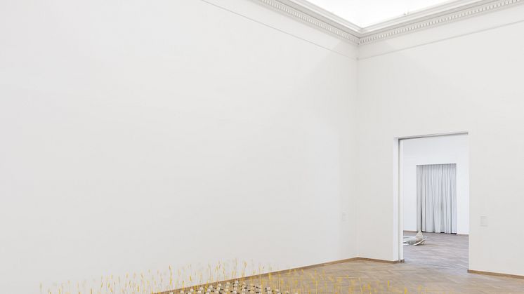 Ida Schrader, Deadlock, 2023