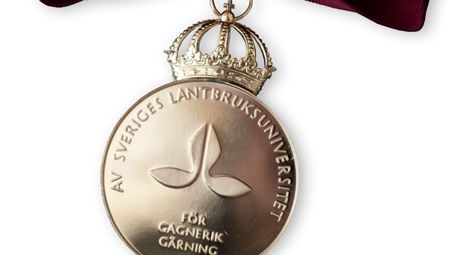 De får årets SLU-medaljer