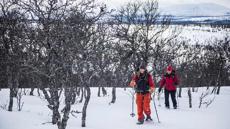 Snöskovandring