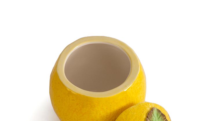 Bowl Lemon jam - Byon SS23 - 5228625210