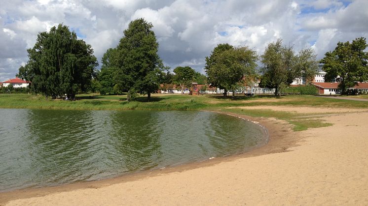 Kommunen avråder från bad i Sundstatjärn på grund av algblomning