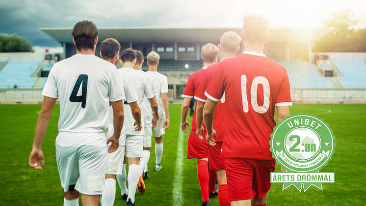 Han vinner priset för Årets drömmål i division 2 säsongen 2019