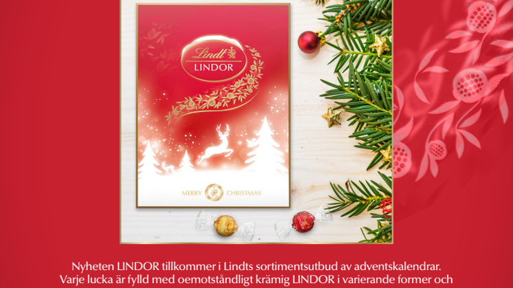 LINDOR Adventskalender