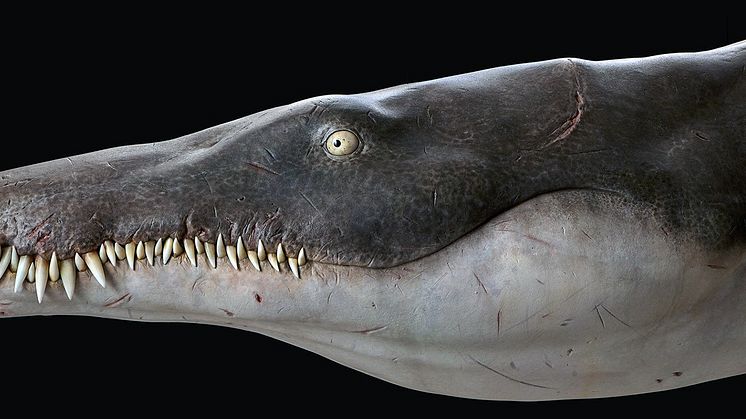 Lorrainosaurus_Life model_10 Tons