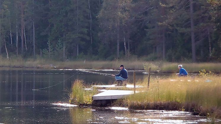 KSLA Verksamhetsberättelse 2019 (KSLAT nr 2-2020)