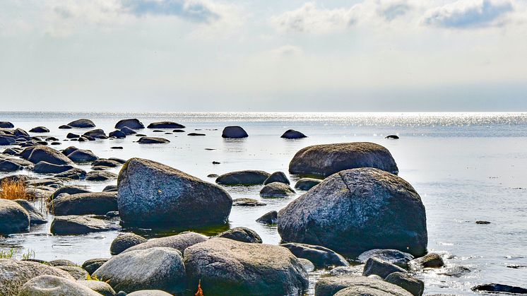 Gö naturreservat