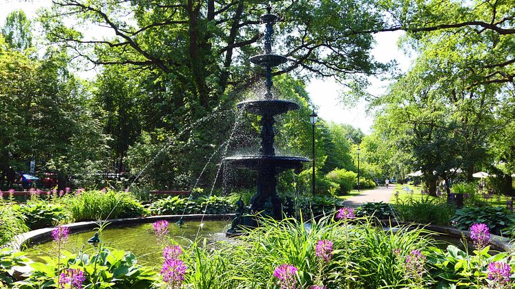 Fontänen i Stadsträdgården i sommarskrud.