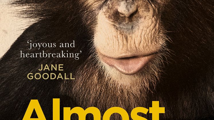 Almost Human