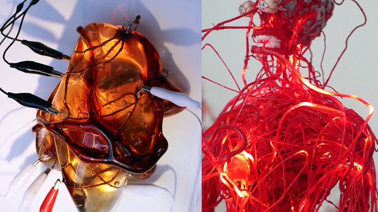 Ammy Olofsson, Growing Computers, Connecting Bodies, Cutting the Cord, 2016. Annika Liljedahl, Circulatory Space–Bloodstream–Growth, 2010.