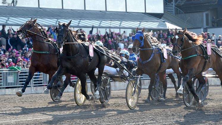 Nuncio passerar mållinjen som vinnare av Elitloppet Benders 2016. 