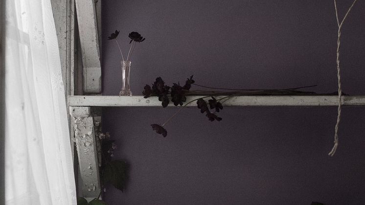 Pigment-03
