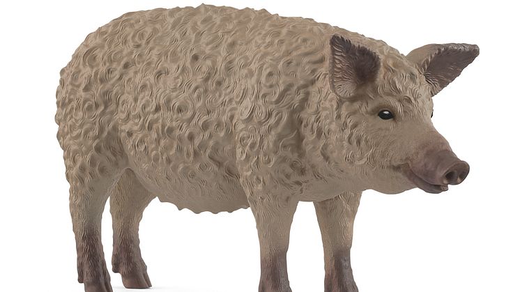 14892_Farm World_Mangalica Pig_(c)schleich®