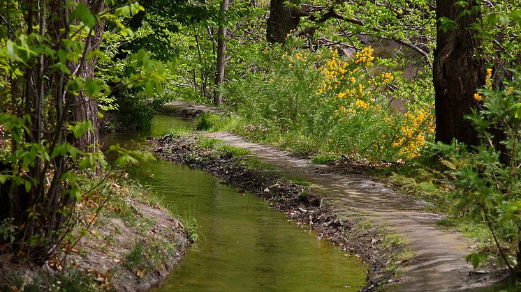 Foto: Acequias Alpujarra JC Poveda 