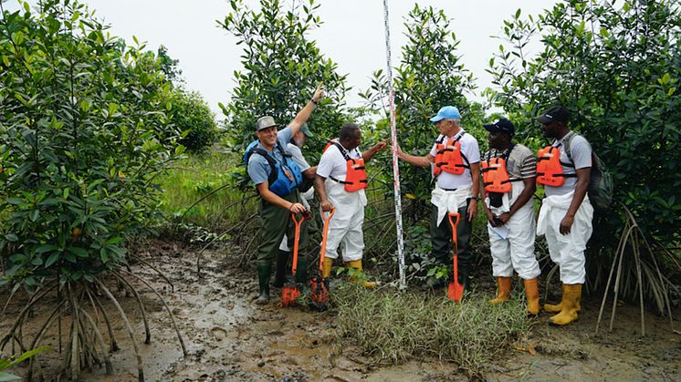 2025-02-05 Webinar: Ecosystem restoration for a sustainable development