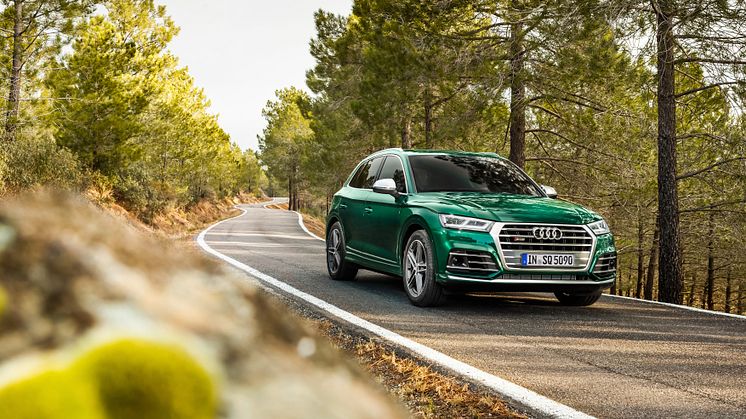Audi SQ5 TDI (Azorergrøn)